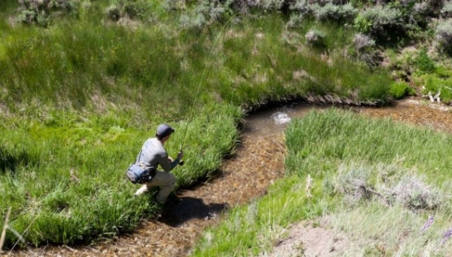 Fly Fishing in Little Mountain